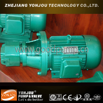 Electric Hydraulic Pump